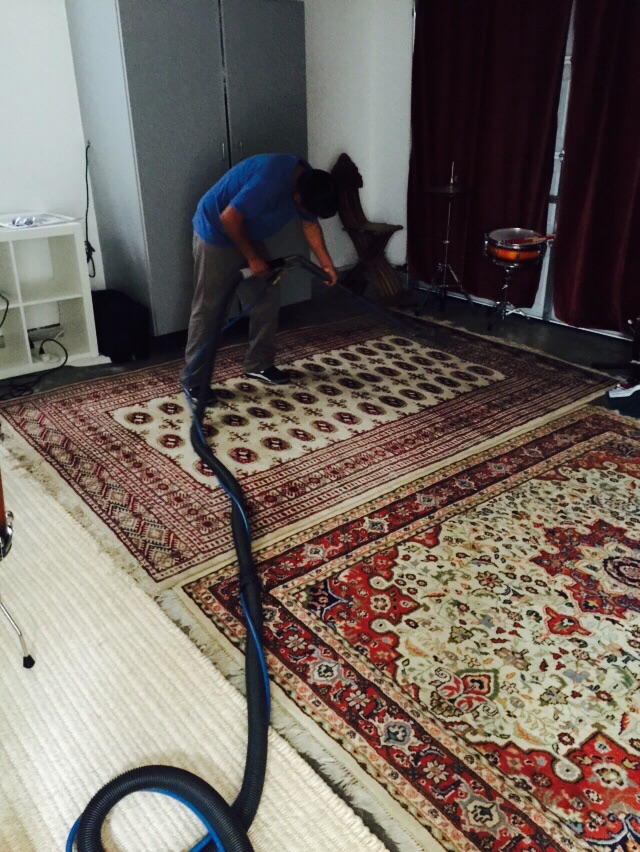 5 Crucial Questions about Carpet Cleaning