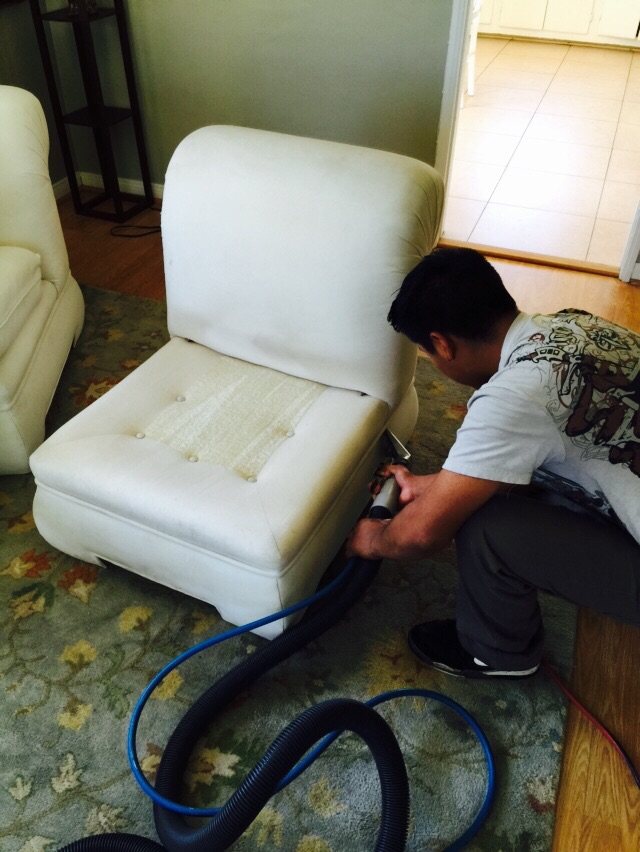 Upholstery Cleaning Basics